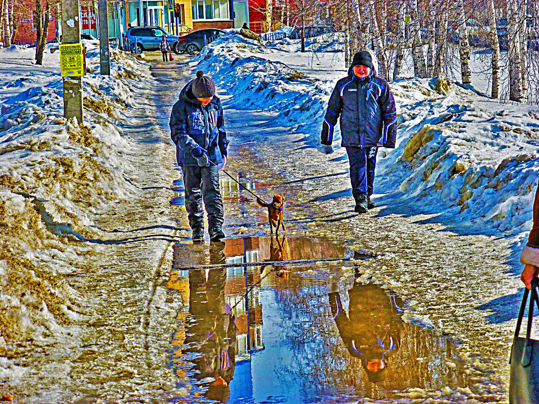 С песиком --по лужам! - Владимир 