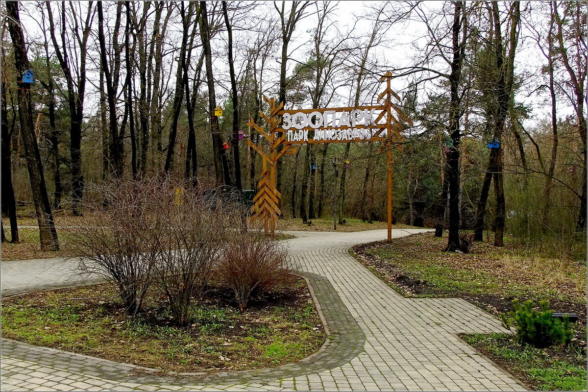 К зоопарку - Фёдор Меркурьев