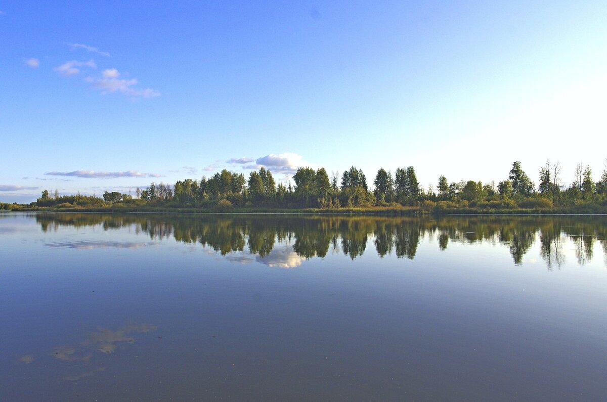 Перед закатом - Сергей Швечков