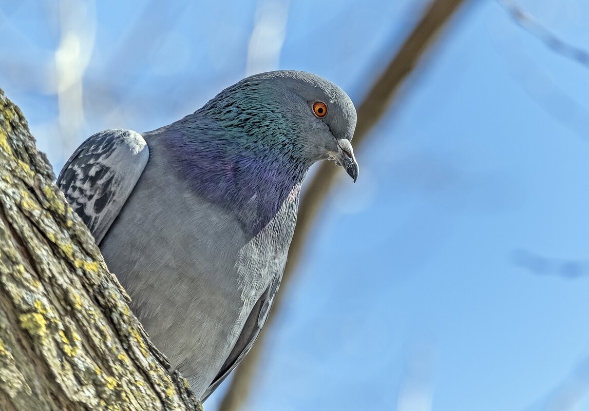 Позирует - Валерий Иванович