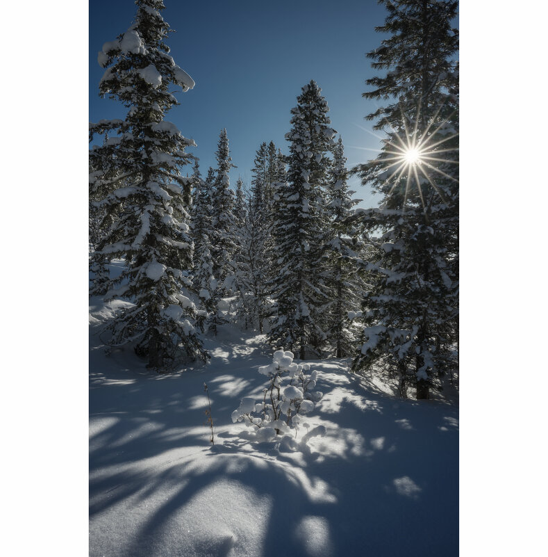 * - Александр Иванов