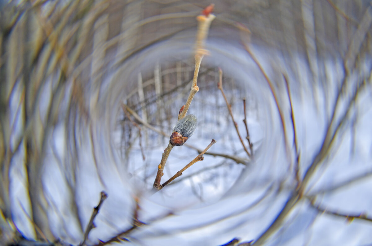 Пробуждение природы - Lyubov Busova