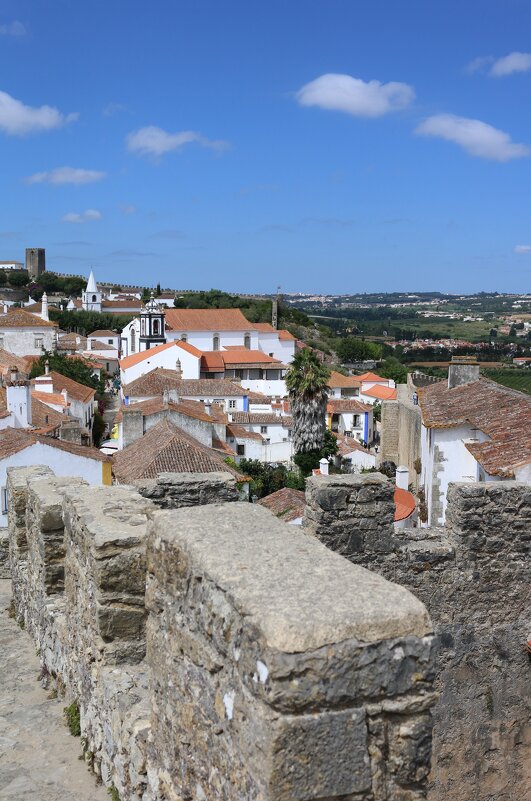 На стене крепости Обидуш - Ольга 