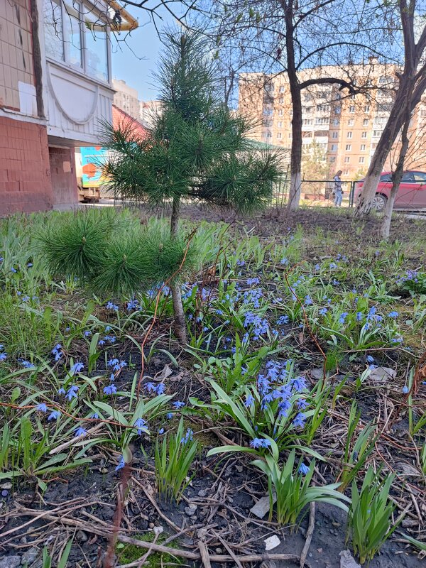 ,,, - Сергей Тимоновский