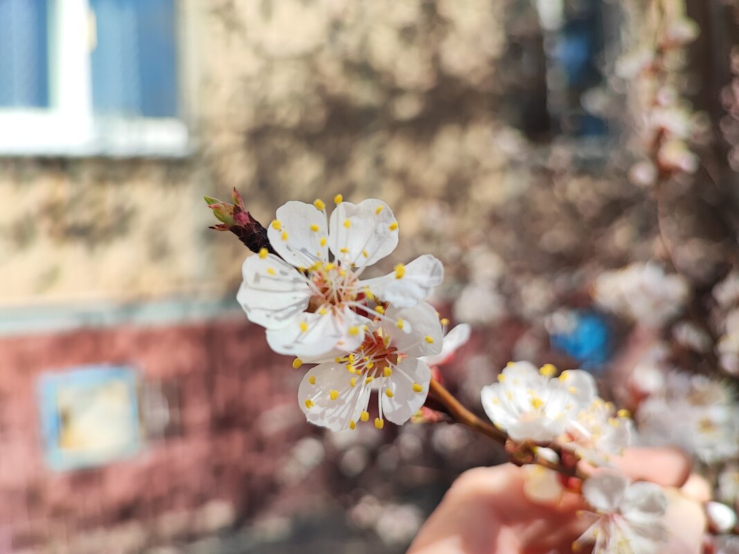 ,,, - Сергей Тимоновский ,,, - Сергей Тимоновский