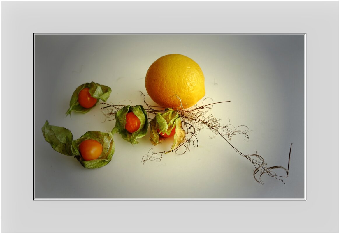 С ЛИМОНОМ... - Elvira E. С ЛИМОНОМ... - Elvira E.