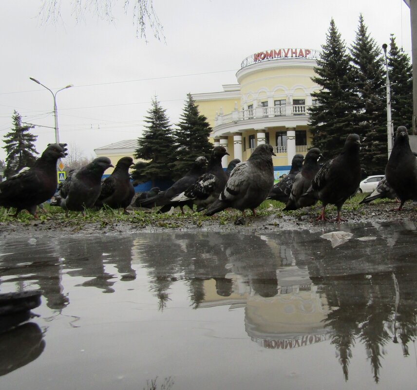 Смелее...купальный сезон открыт - Galaelina *** Смелее...купальный сезон открыт - Galaelina ***
