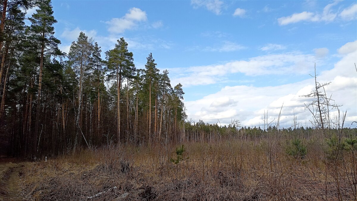 Весна - Татьяна Тюменка Весна - Татьяна Тюменка