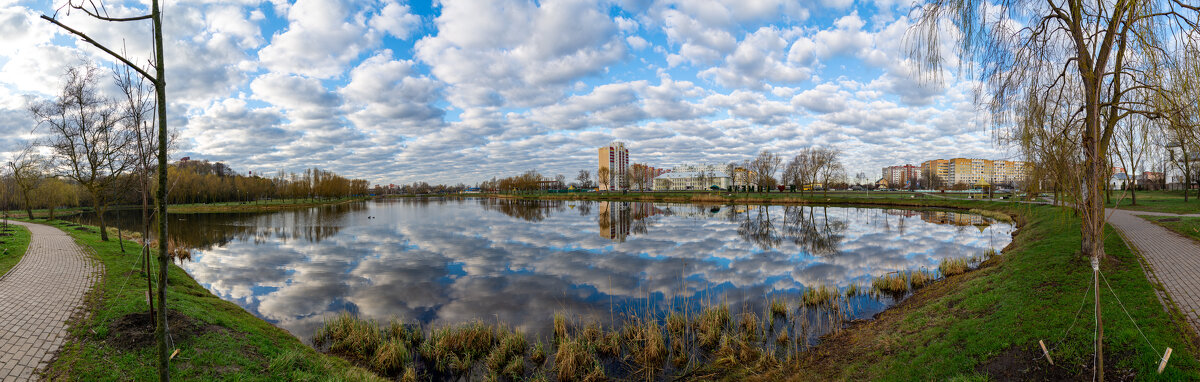 Новобелицкий парк. Гомель - Андрей Сосновский