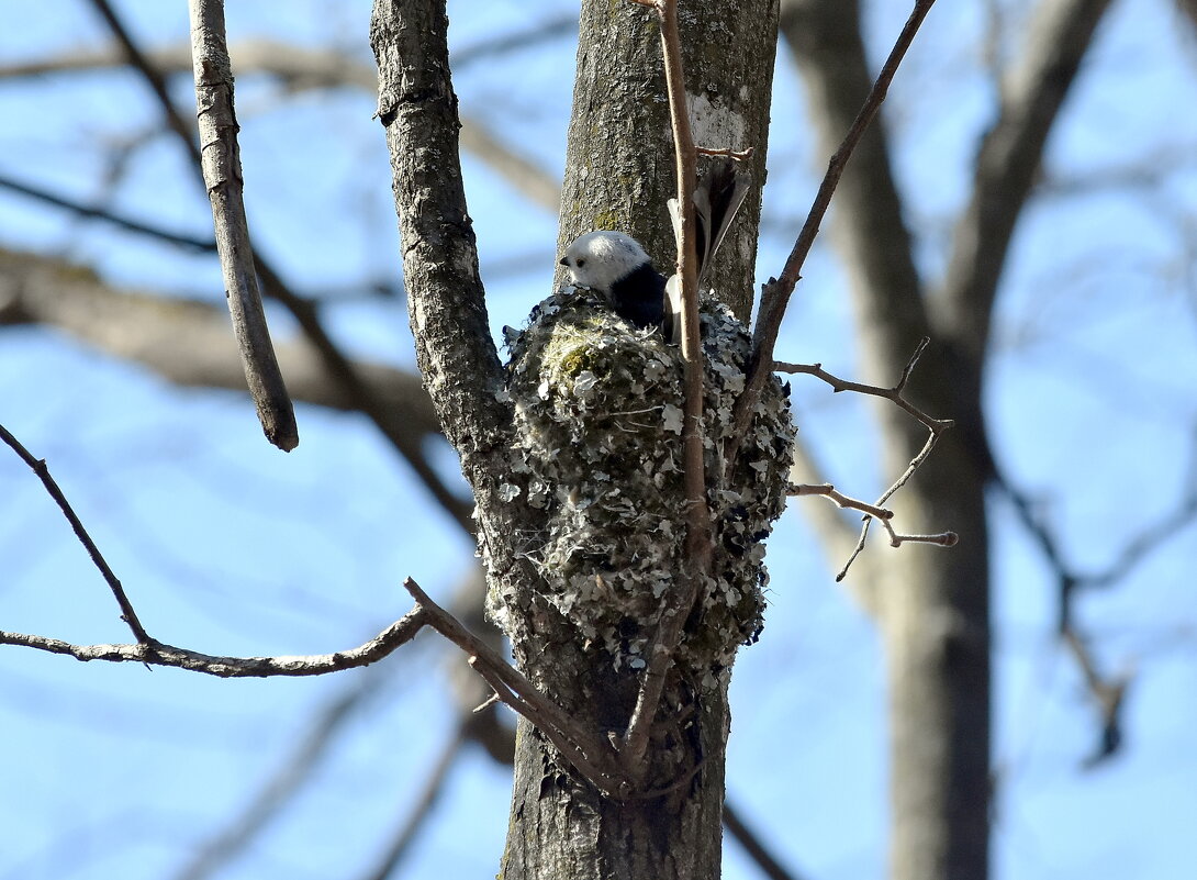 Ополовник. - Алексей . Ополовник. - Алексей .