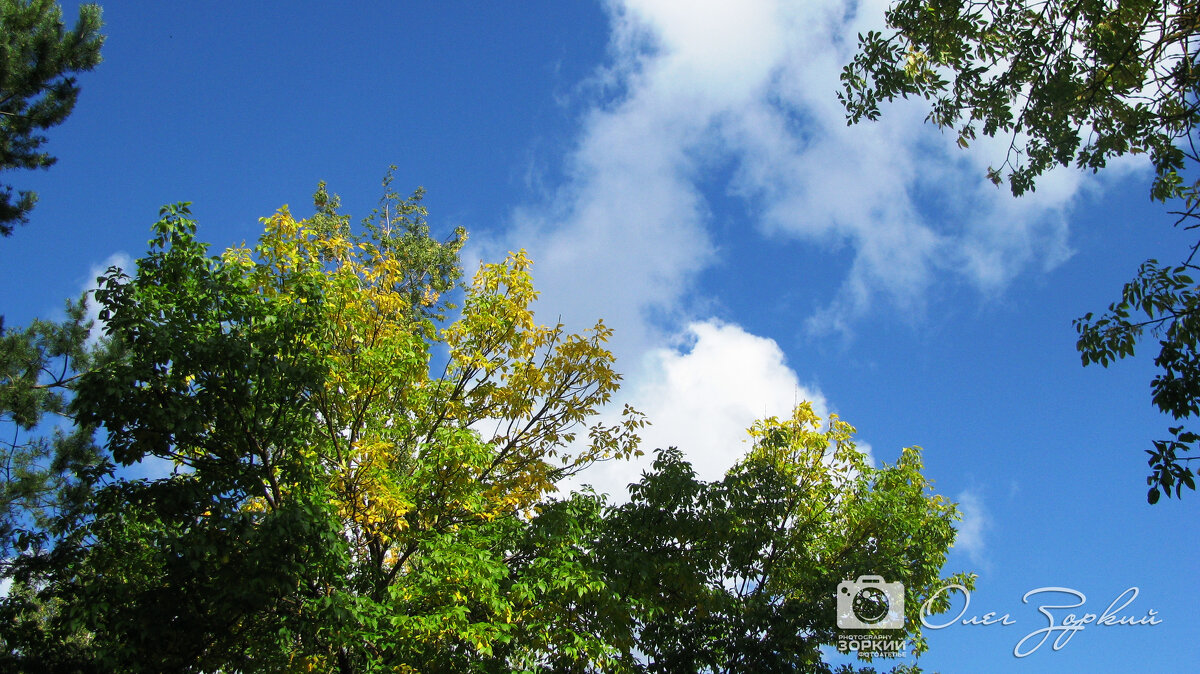 Раняя осень - Олег Зоркий