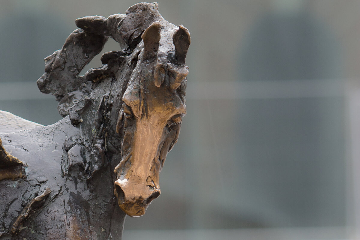 Пегас на Большой Конюшенной - Алексей Булак