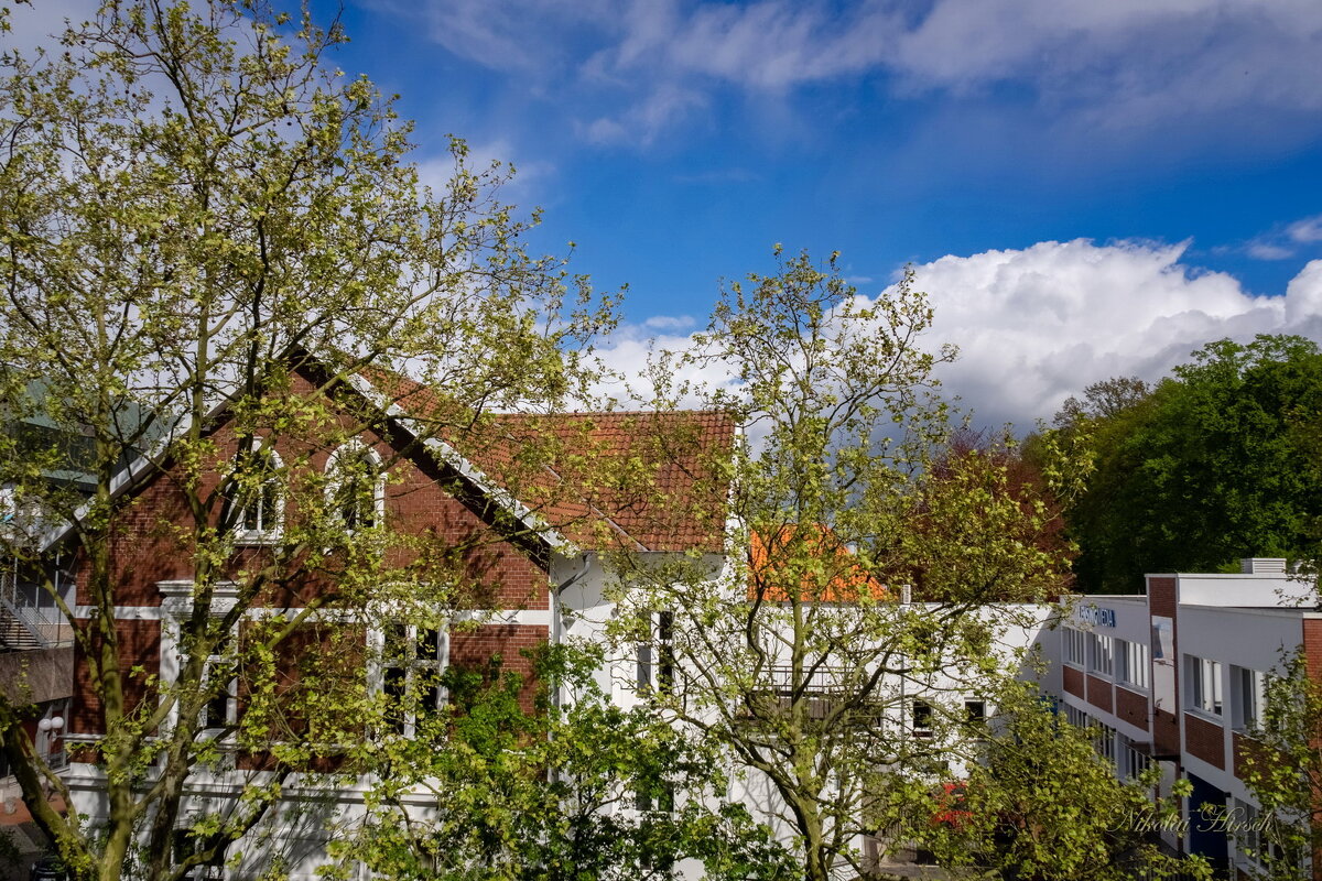 Напротив дома моего... - Николай Гирш Напротив дома моего... - Николай Гирш