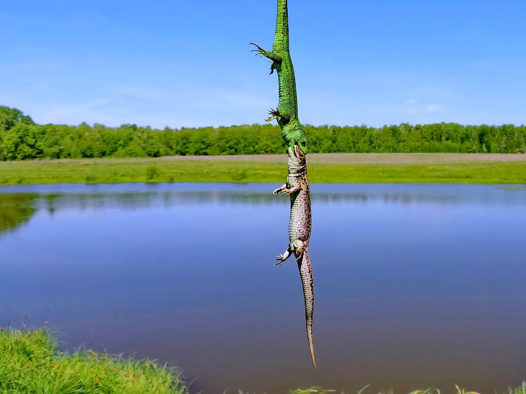 Выяснение отношений на высоком уровне. - Татьяна Нефедьева. Выяснение отношений на высоком уровне. - Татьяна Нефедьева.