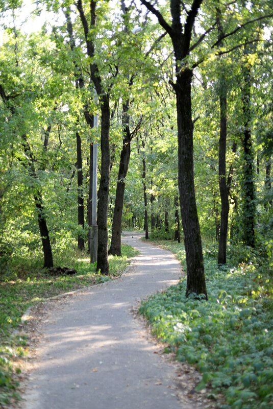 В парке - Андрей Л. В.