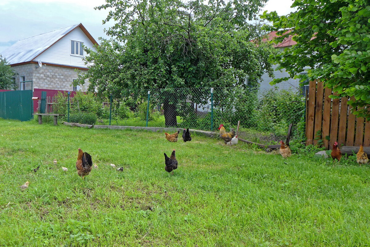 Семейство - Валерий Судачок