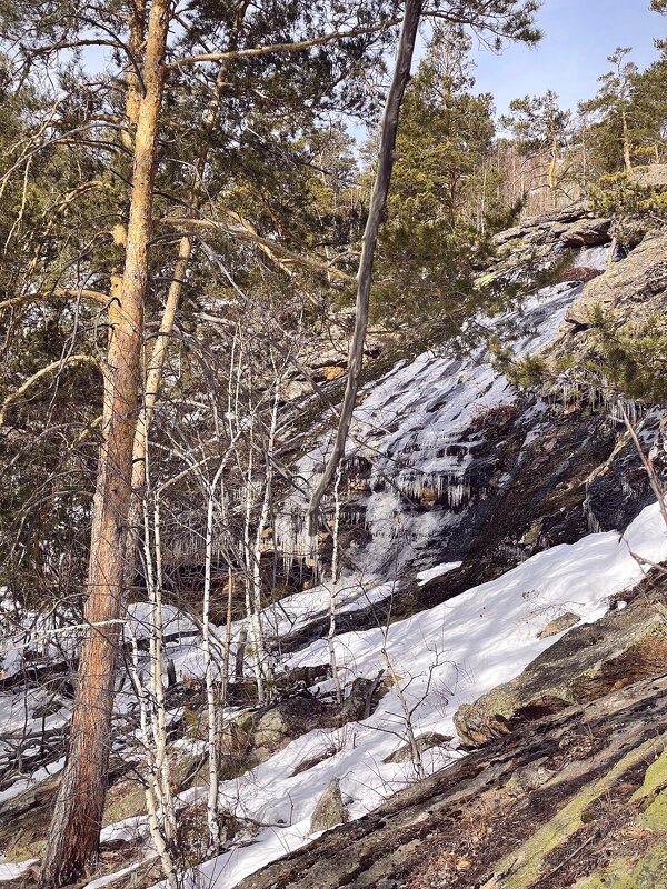 Снега - Георгиевич 