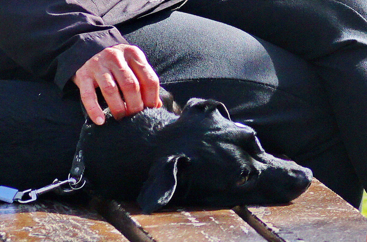 Радость общения... - Николай Саржанов Радость общения... - Николай Саржанов