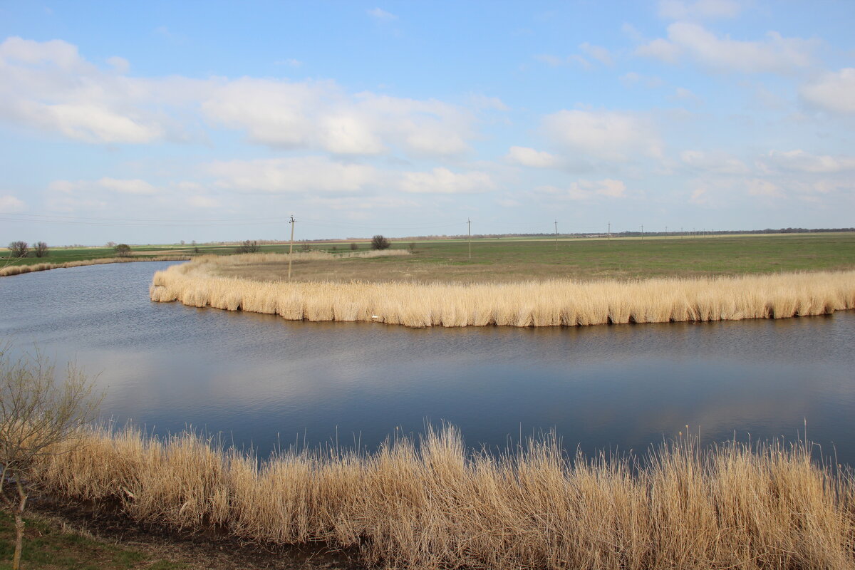 Местная река. - Виктор 