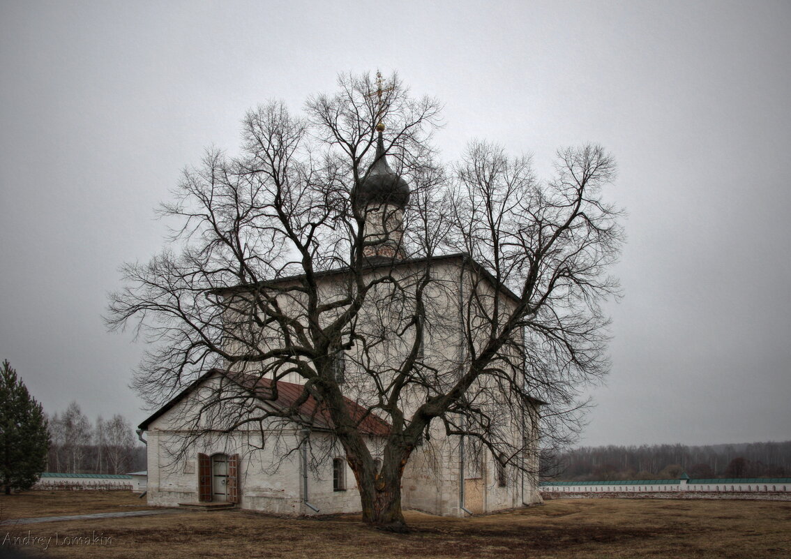 Церковь Бориса и Глеба в Кидекше - Andrey Lomakin Церковь Бориса и Глеба в Кидекше - Andrey Lomakin
