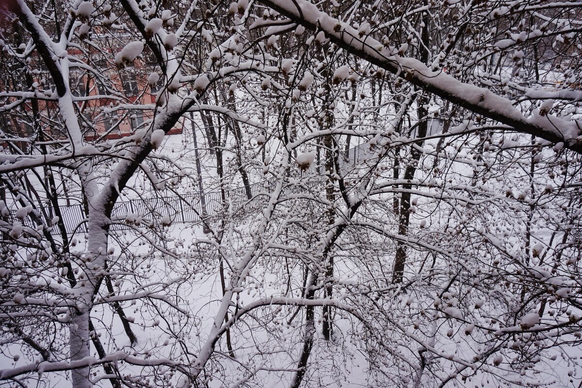 Весь апрель никому не верь - Nataly St. 