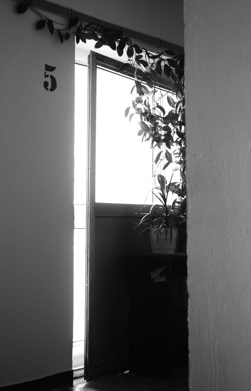 Пятый этаж. - Василий Палий