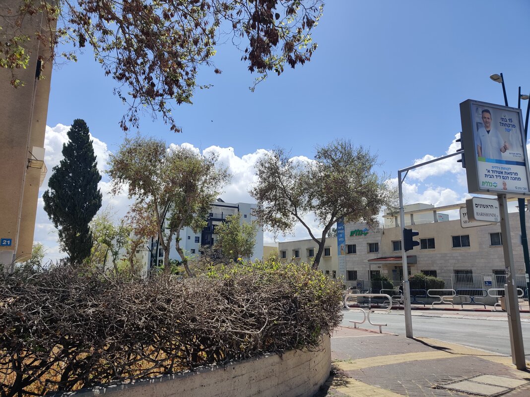 А вот наша поликлиника - Светлана Хращевская А вот наша поликлиника - Светлана Хращевская