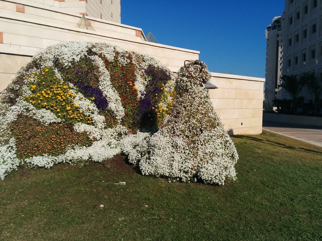 Павлин . Цветочная скульптура! - Светлана Хращевская Павлин . Цветочная скульптура! - Светлана Хращевская