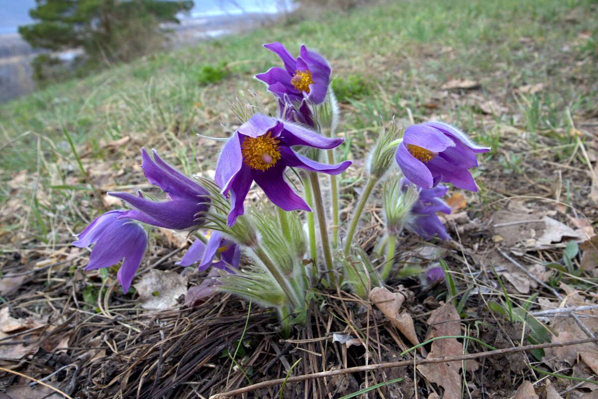 ... - Валерий 