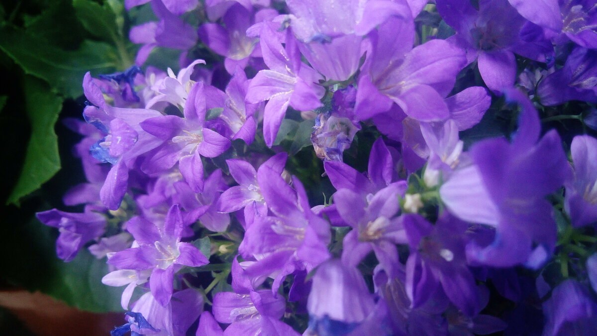 ,,, - Сергей Тимоновский ,,, - Сергей Тимоновский