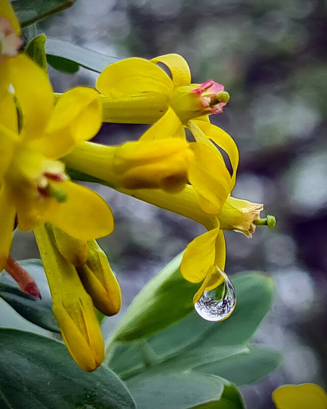 Йошта - Валерий Ткаченко Йошта - Валерий Ткаченко