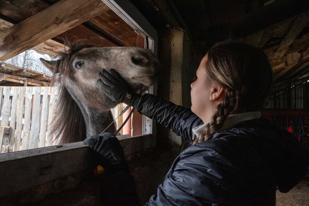 Конный центр "Русь" - Валерий Михмель 
