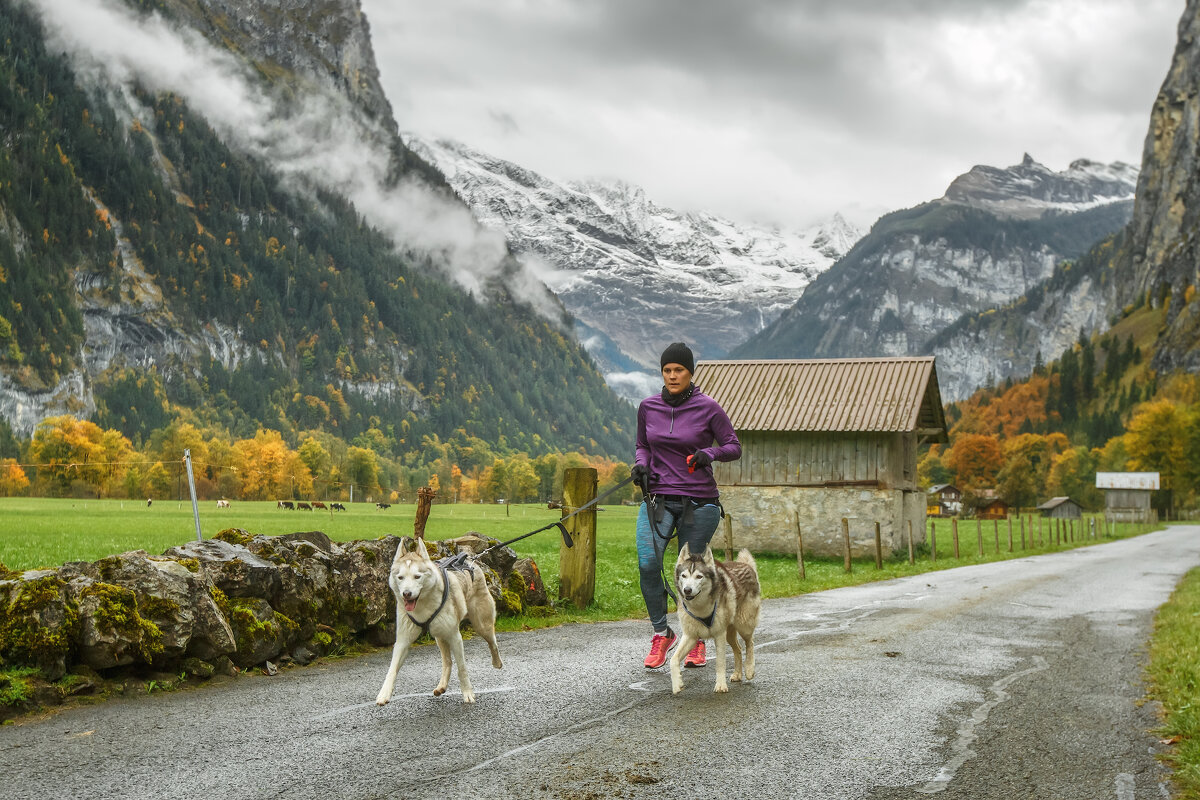 Жизнь в горах - Владимир Колесников