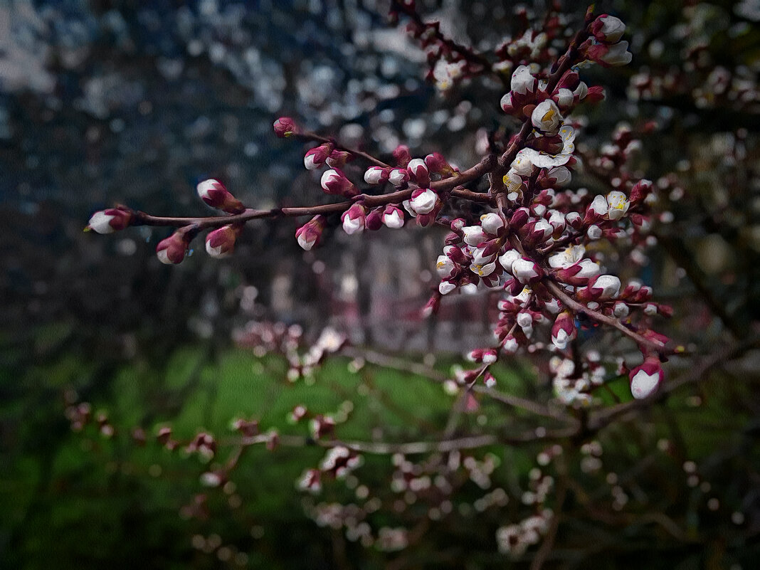 Апрель. - Андрей. 