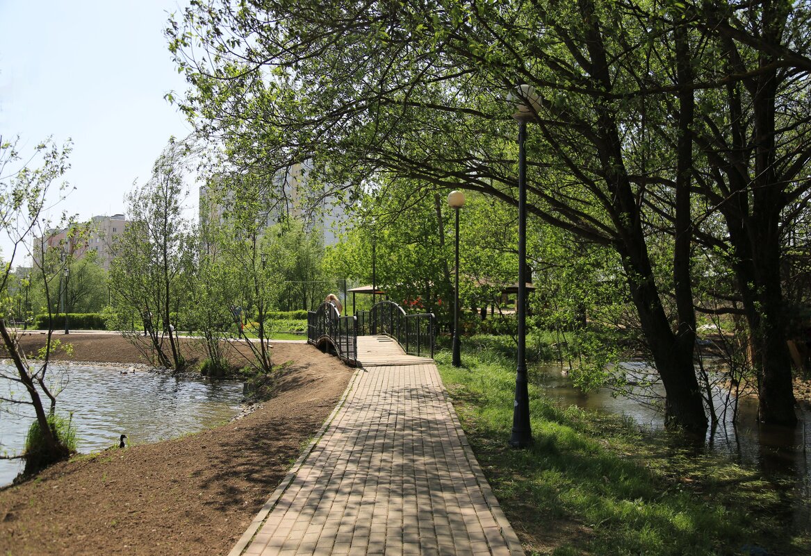 Мостик, пруд - ZNatasha -