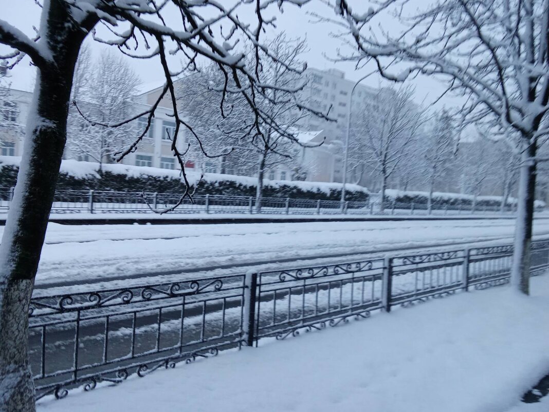 Утро заснеженное - Александр Винников