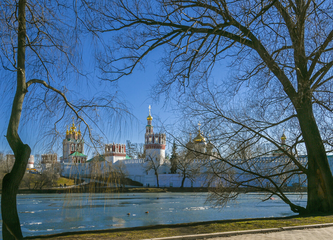 Новодевичий монастырь - Александр Орлов