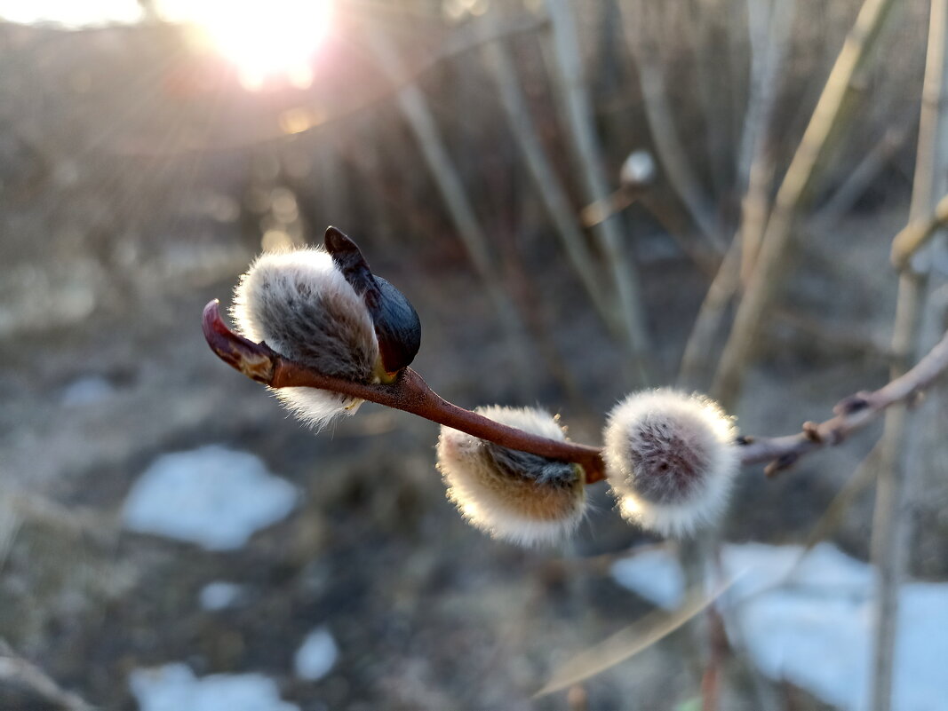 Скоро - Павел Трунцев