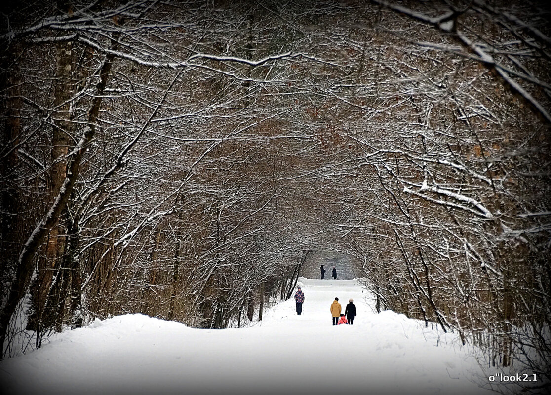 со снежком - Олег Лукьянов
