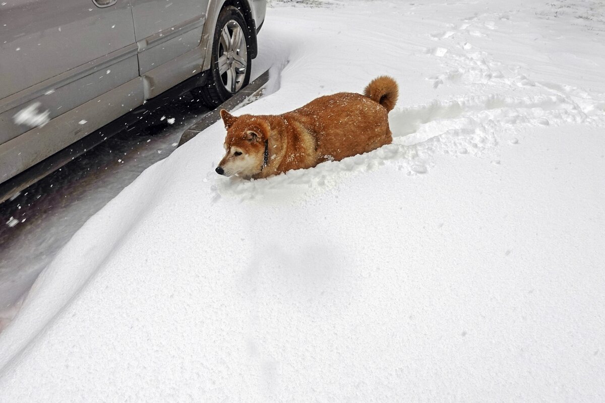 Полазить по сугробам в апреле - Валерий Иванович Полазить по сугробам в апреле - Валерий Иванович