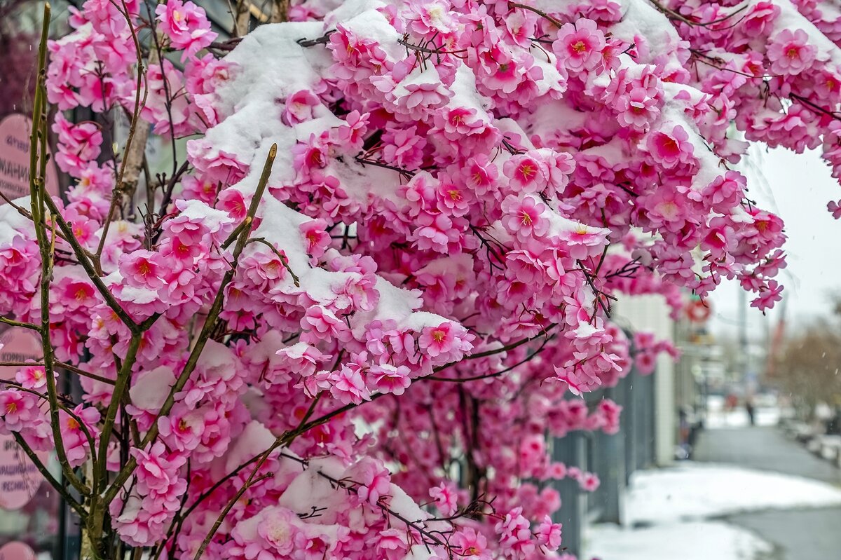 Апрельский этюд - Валерий Иванович Апрельский этюд - Валерий Иванович