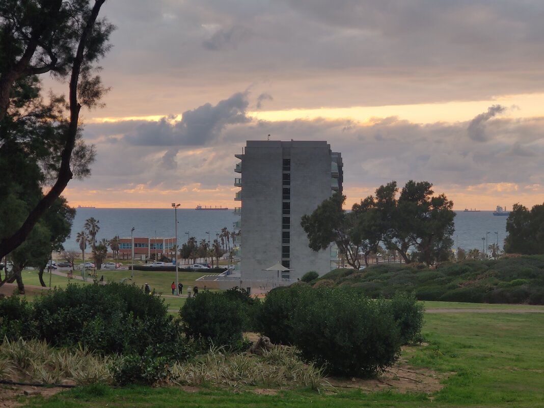 Закат в нашем парке - Светлана Хращевская