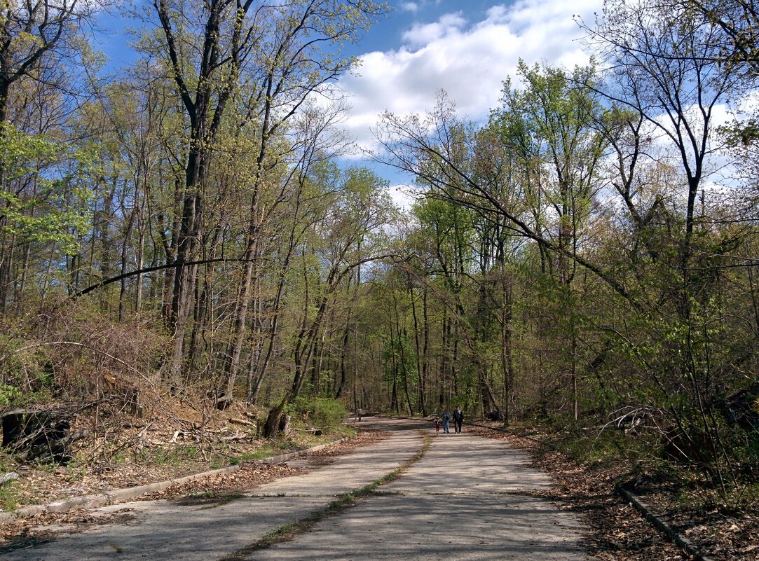 Весна - Светлана Хращевская