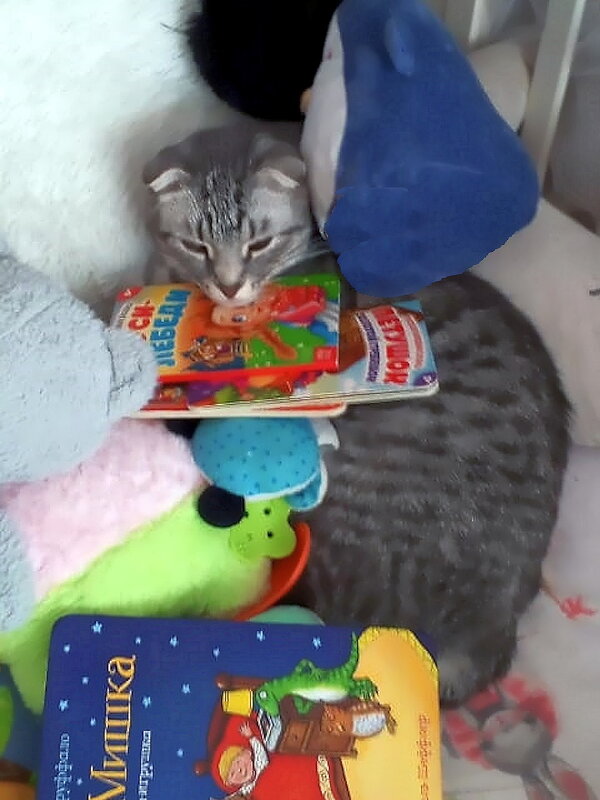 Проказы шалуна Бори. - Ольга Довженко