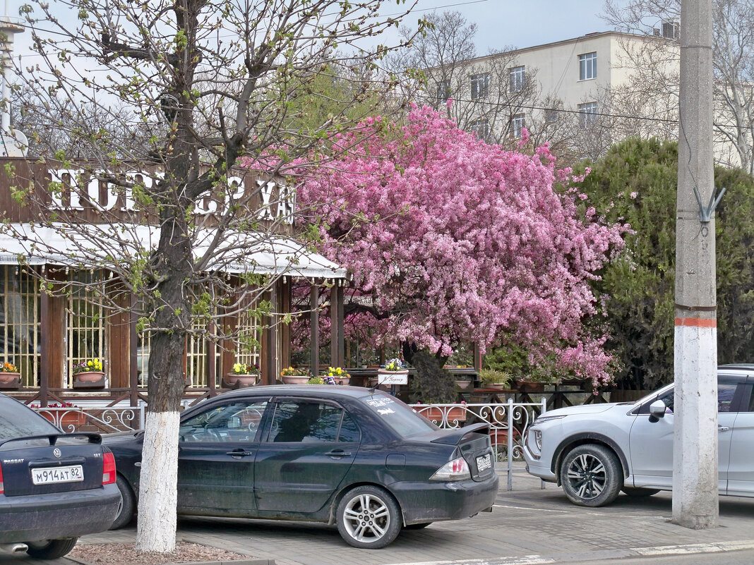 Весна  пришла - Валентин Семчишин