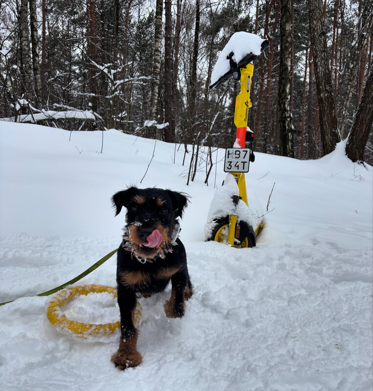 Т34 конечная - Ирина Солощ
