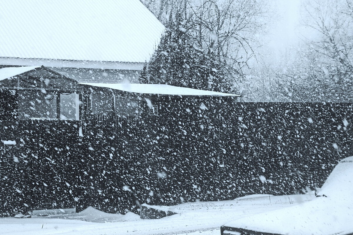 Снегопад апрельский... - Владимир Шошин