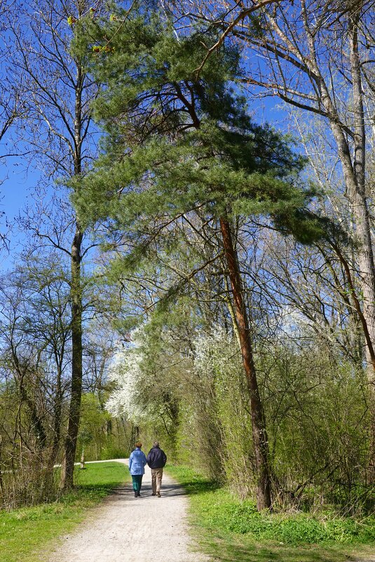 Минуты тишины они прекрасны,... - Галина Минуты тишины они прекрасны,... - Галина