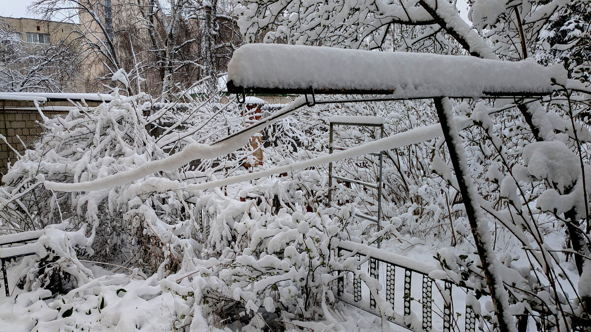 начало апреля  3 - Александр Прокудин