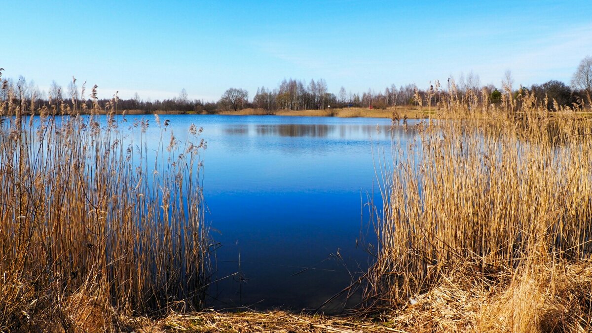 Природа Смоленщины (репортаж из поездки по области). - Милешкин Владимир Алексеевич 